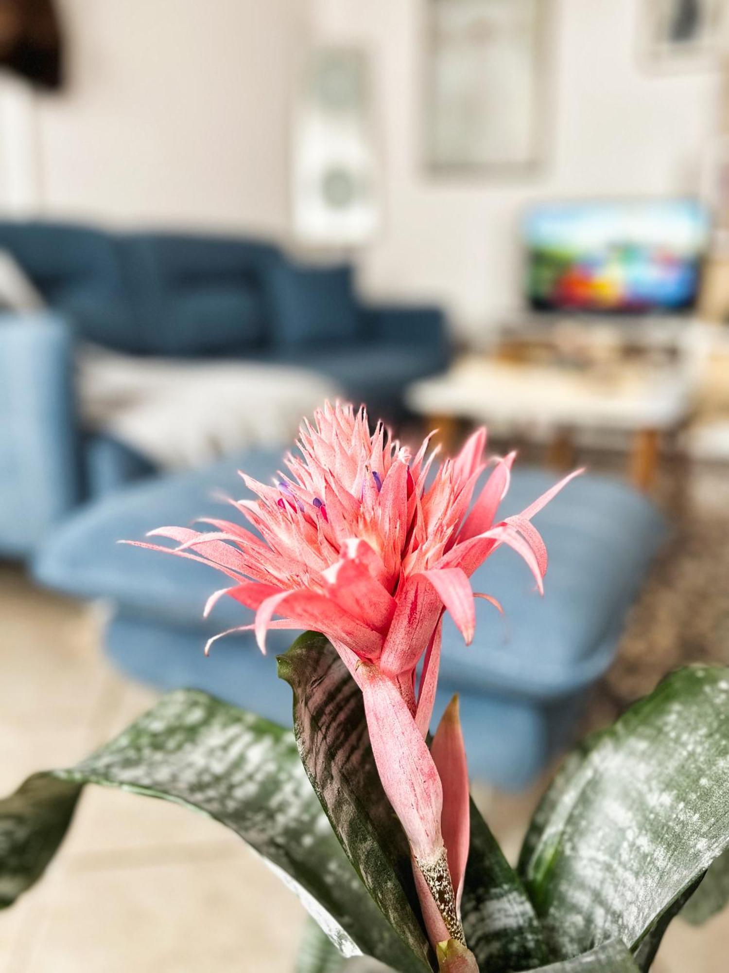 Sunny Central One-bedroom Apartamento *